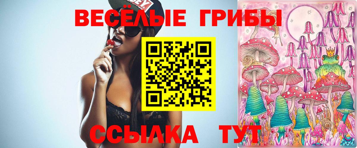Псилоцибиновые грибы Psilocybine cubensis Курчалой