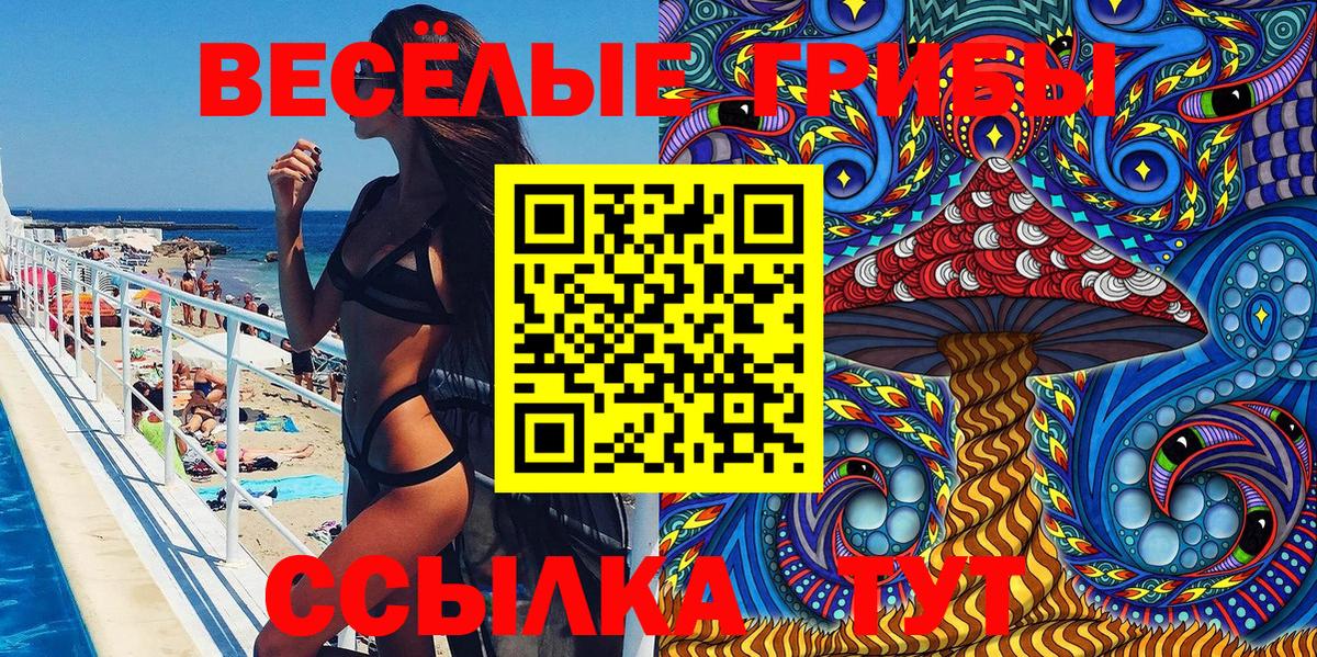 Псилоцибиновые грибы Psilocybine cubensis  Вход с VPN  Курчалой 
